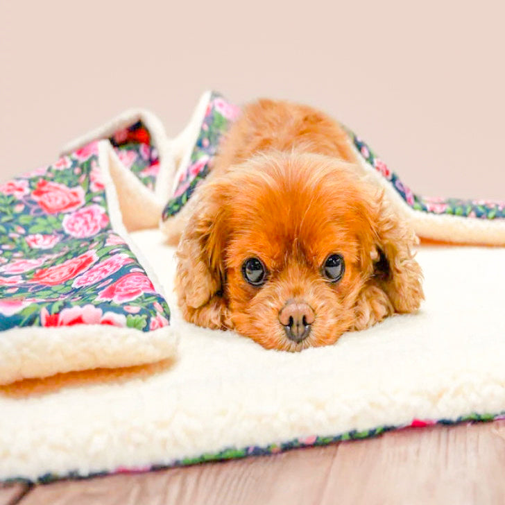 Cath Kidston | Dolly Rose Pet Blanket
