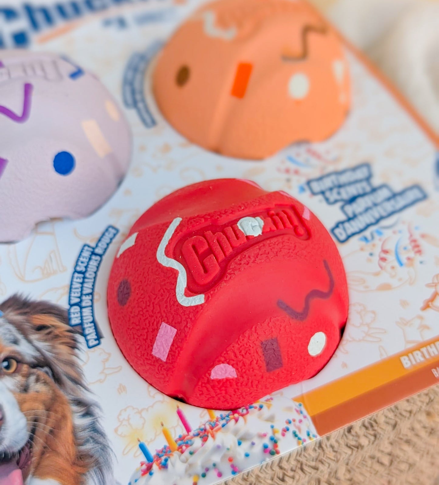 Chuckit!® | Birthday Ball Set Medium 3 Pack