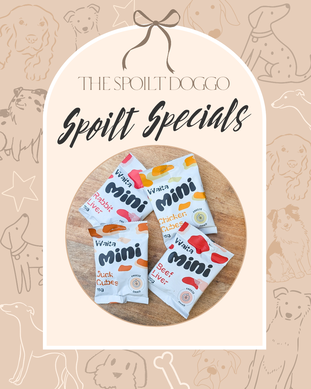 ✨ SPOILT SPECIALS ✨