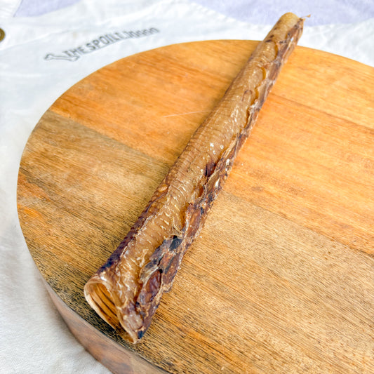 Ostrich Trachea *NEW LARGER SIZE