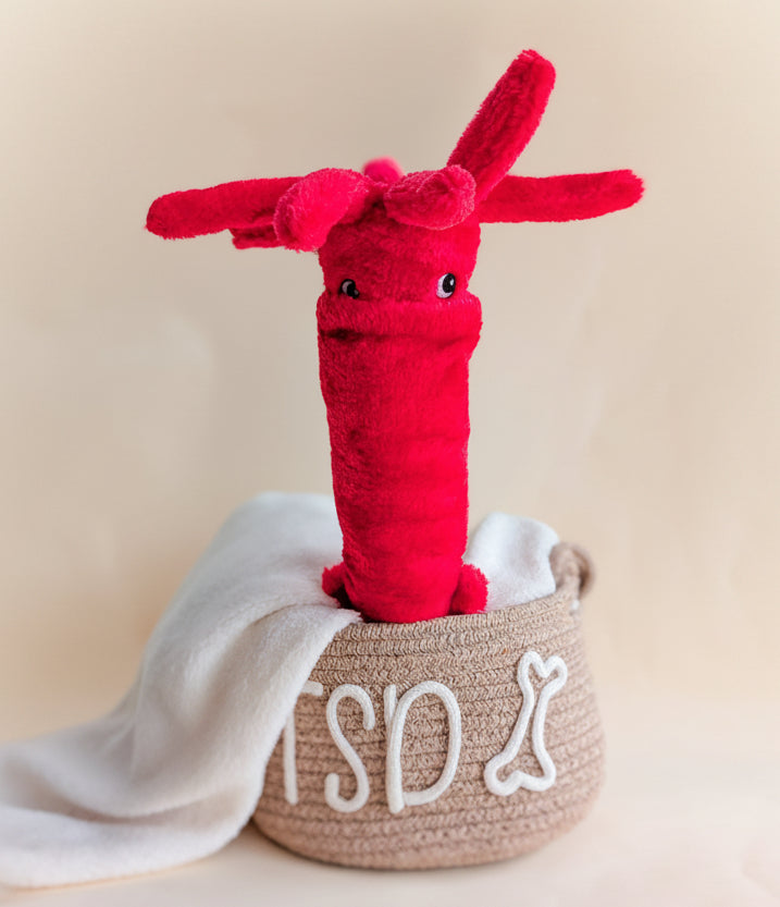 ZippyPaws Jigglerz® Summer Seas Collection