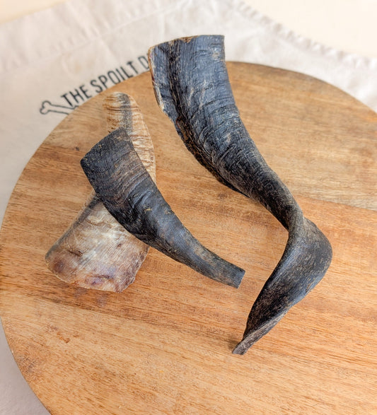 Ram Horn