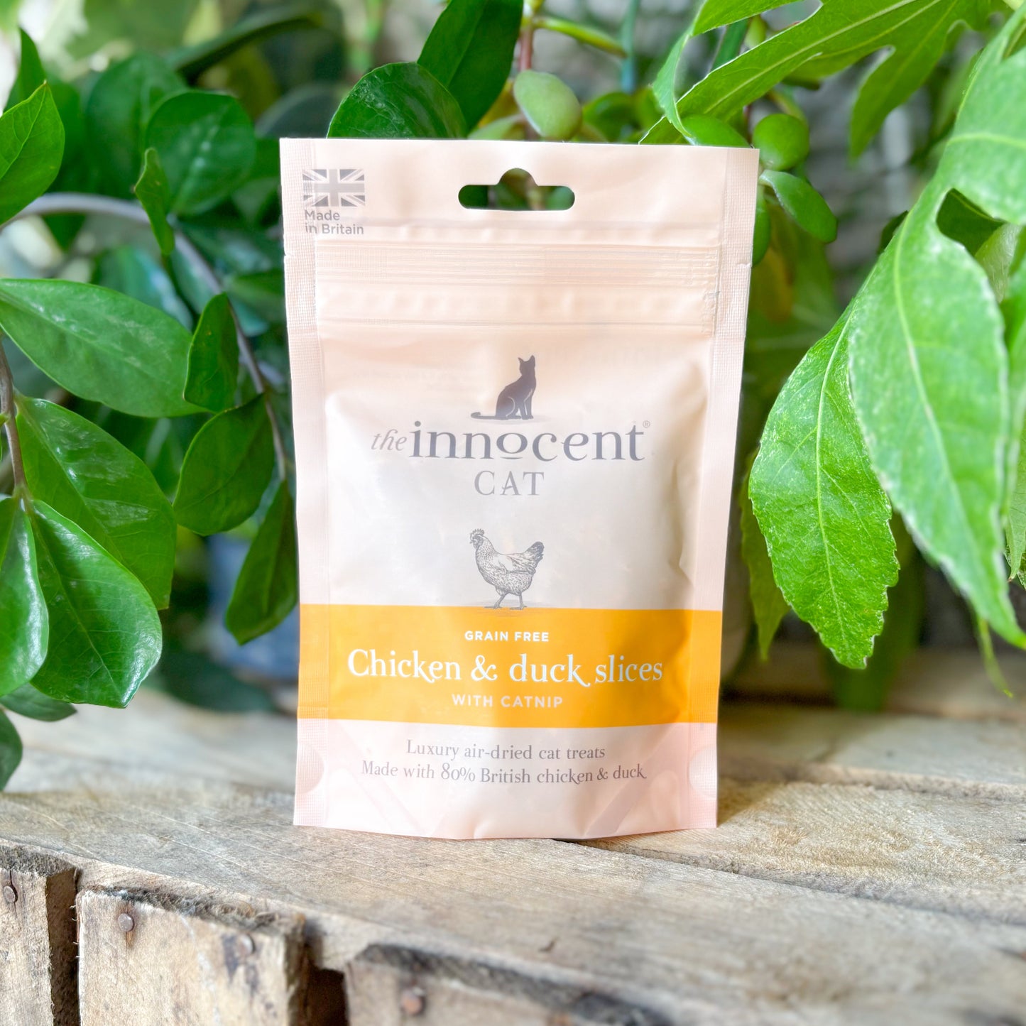 🐈 The Innocent Cat | Grain Free Chicken & Duck Slices with Catnip 😻