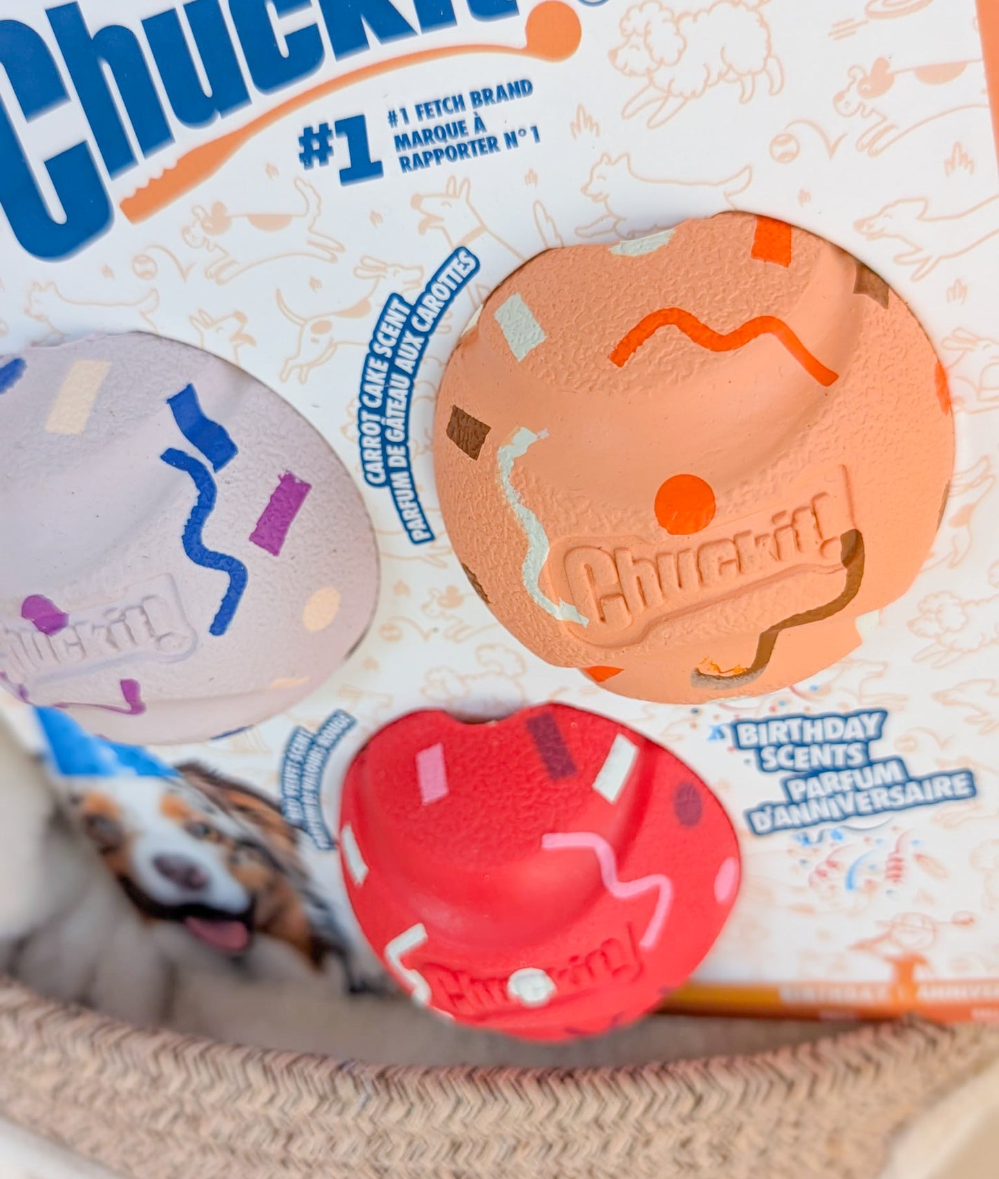 Chuckit!® | Birthday Ball Set Medium 3 Pack