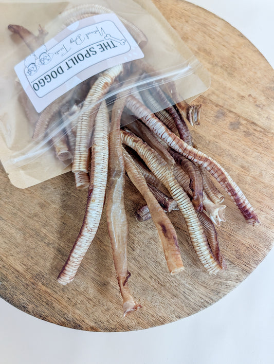“Wriggle Mortis” Air-Dried Goose Trachea