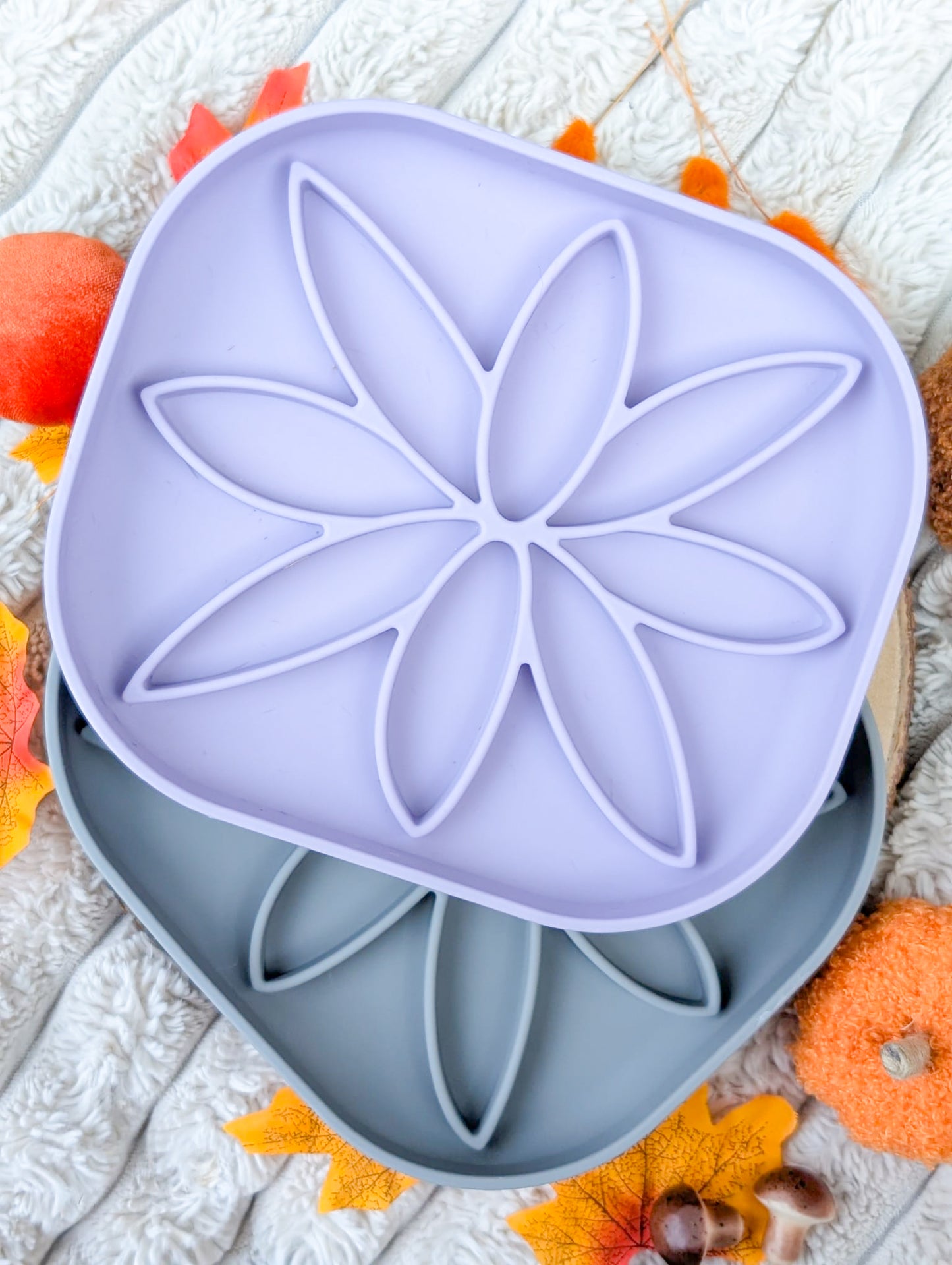 "Moonlit Aster" Enrichment Bowl | 2 Colours