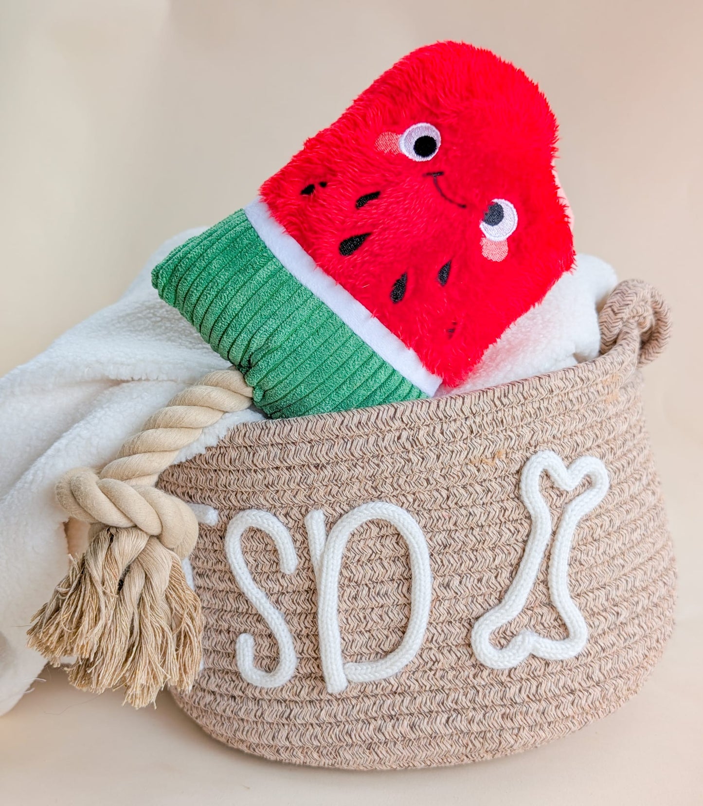 Hugsmart Food Party | Watermelon Popsicle