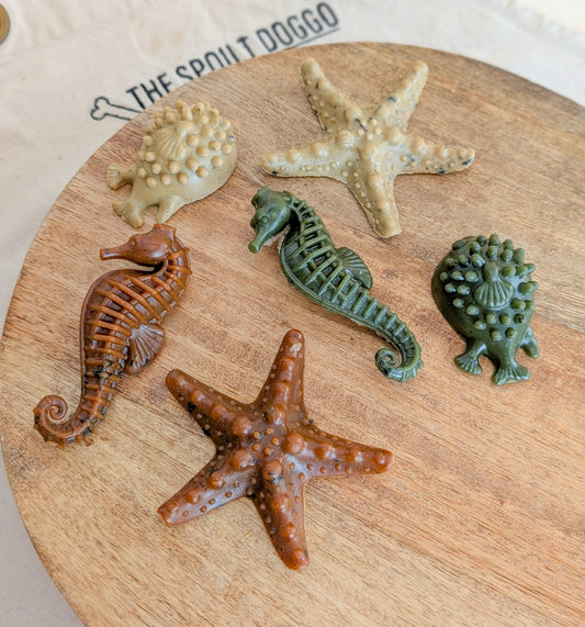 "Under The Sea" Veggie Dental Chews