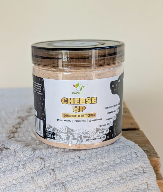 Pawfect Cheese Up Skin & Coat Boost Daily Topper