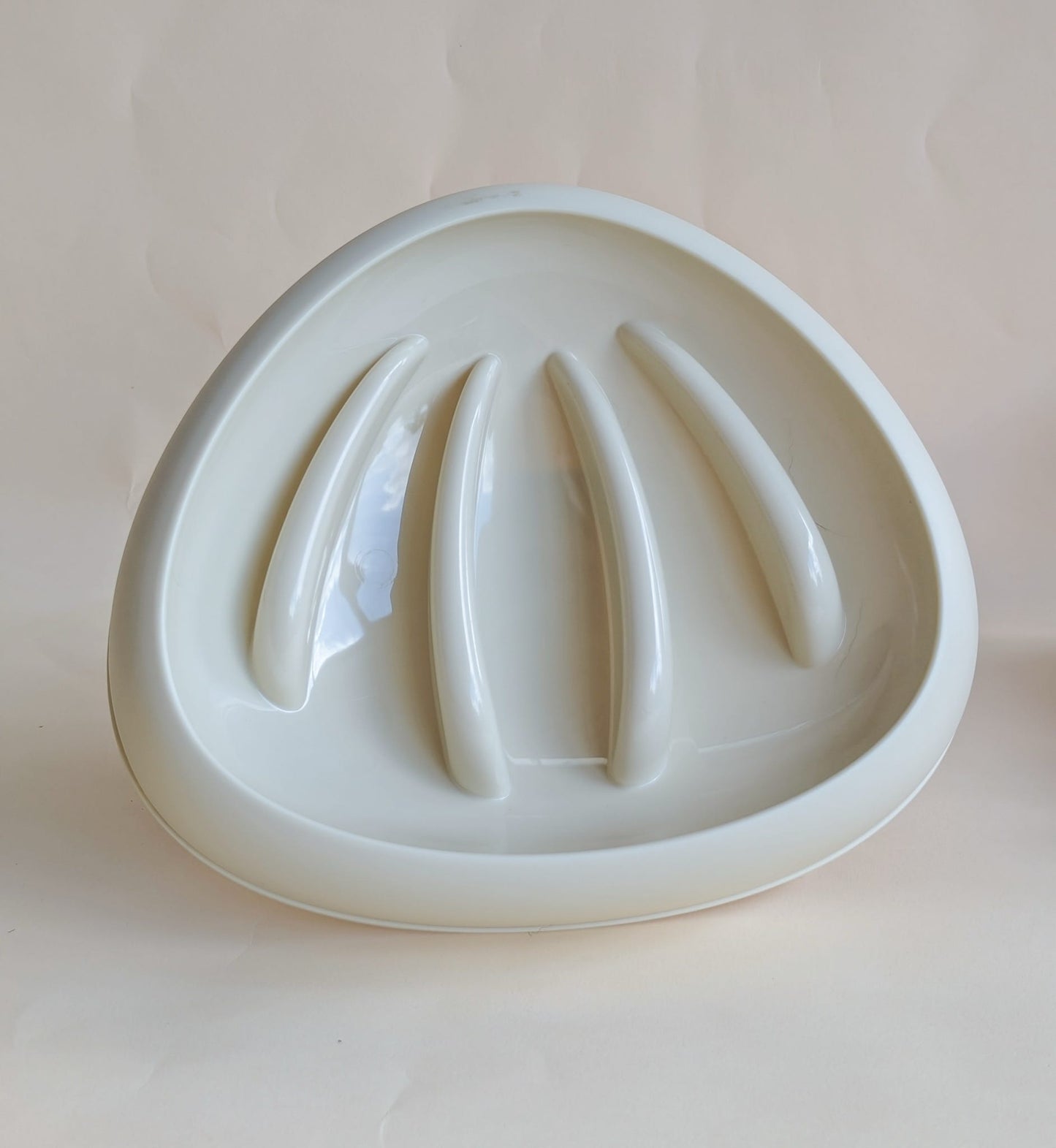 Seashell Slow Feeder