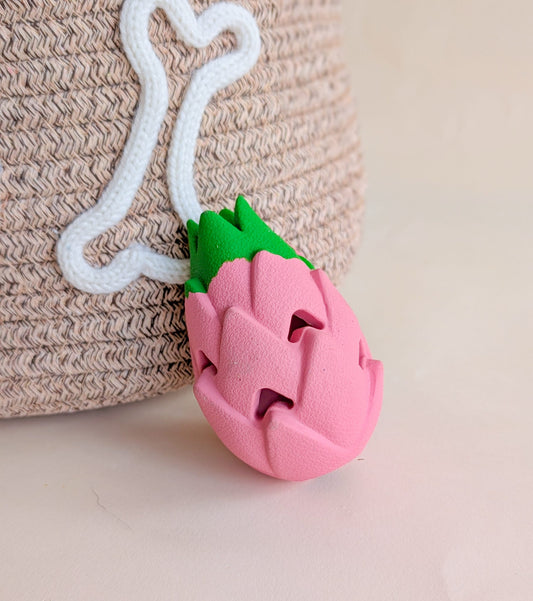 Dragonfruit Enrichment Toy