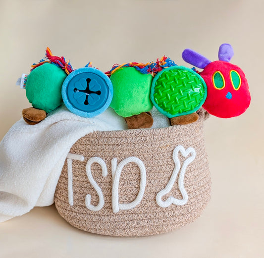 The Very Hungry Caterpillar | Treat Toy