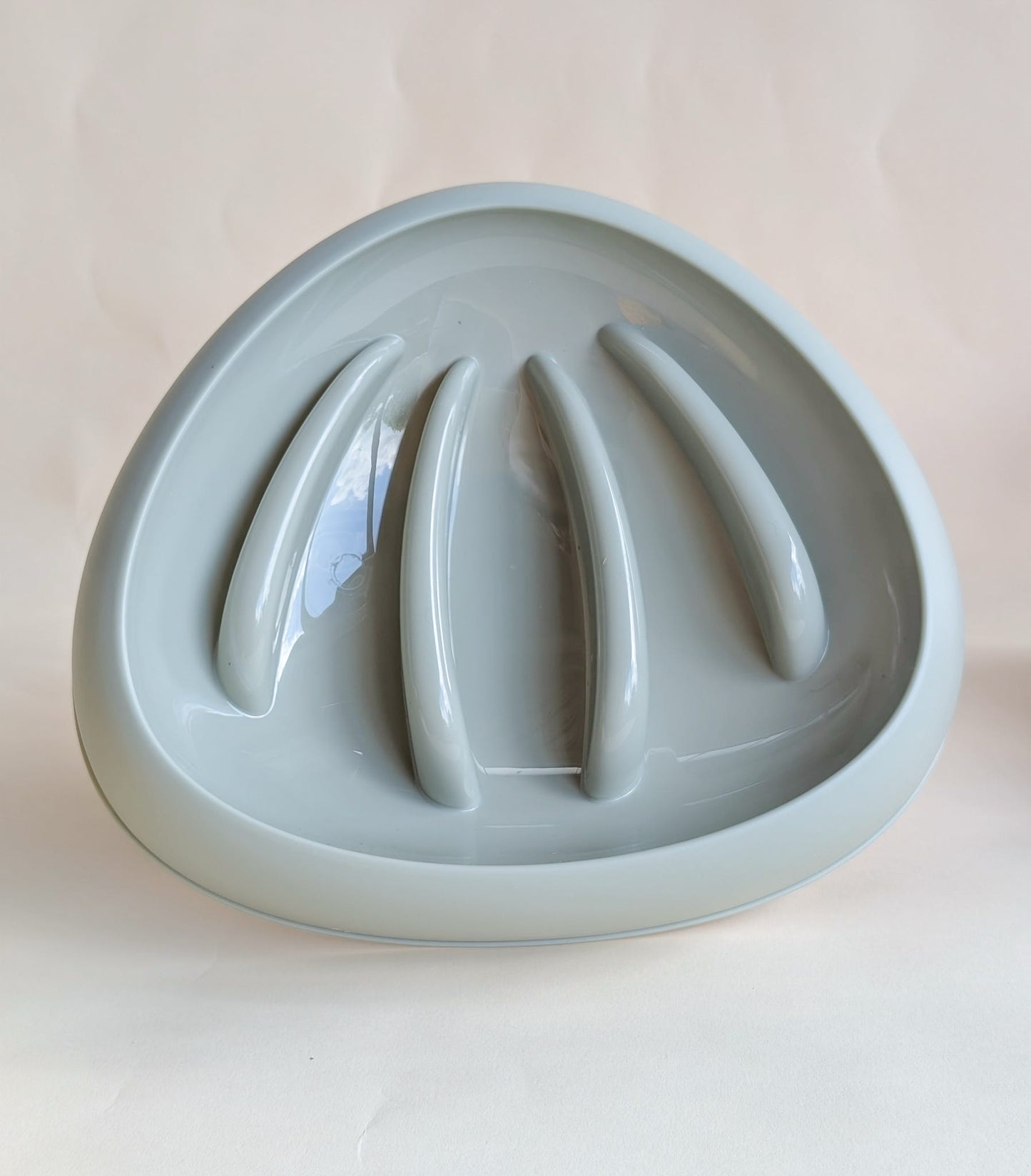 Seashell Slow Feeder