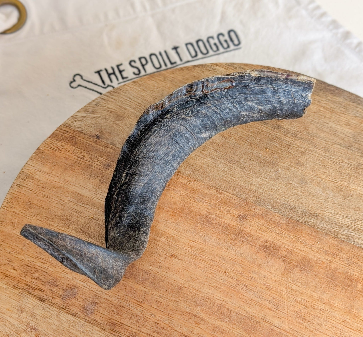 Ram Horn