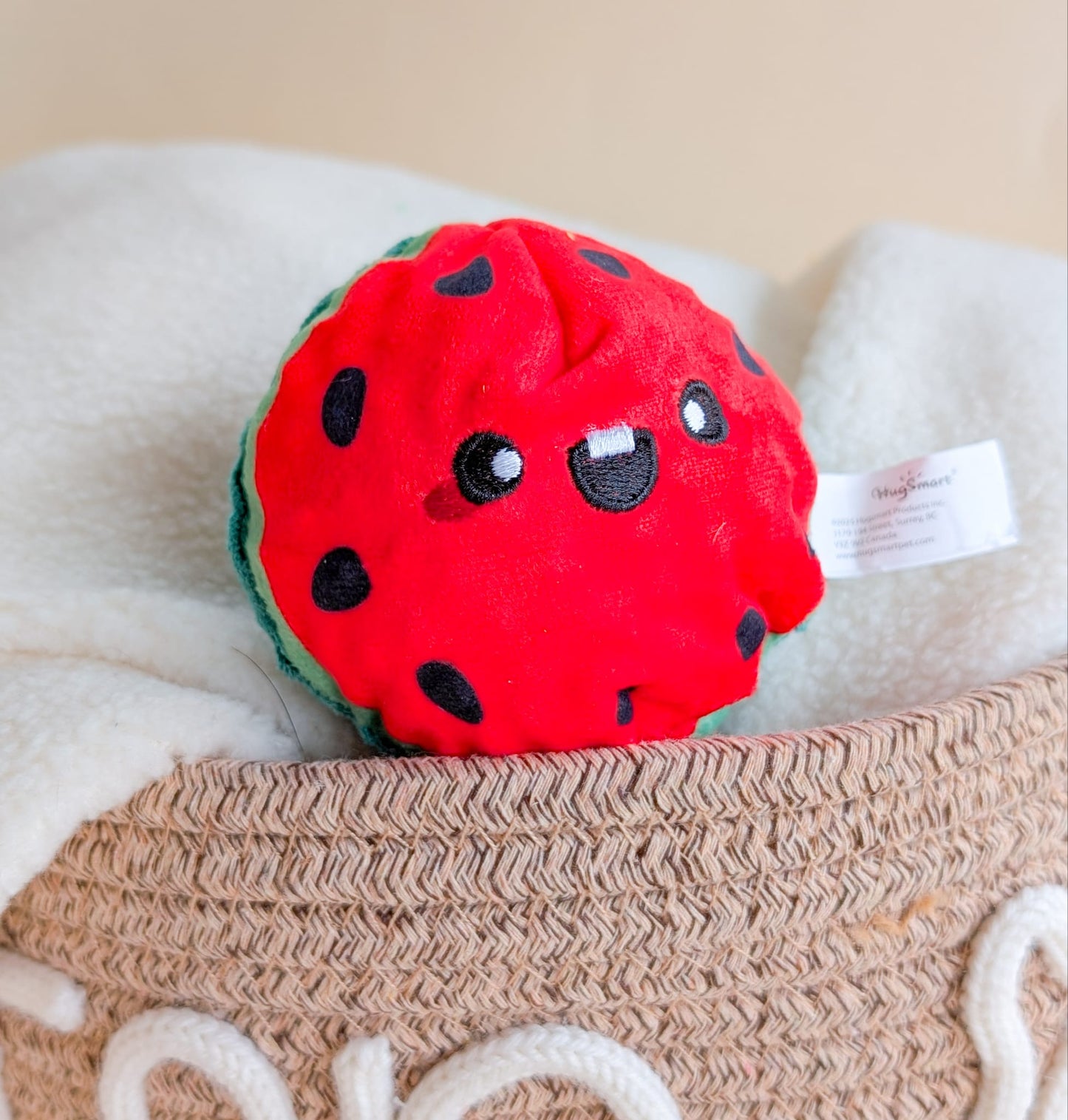 Hugsmart Summer Fruit Ball Toys