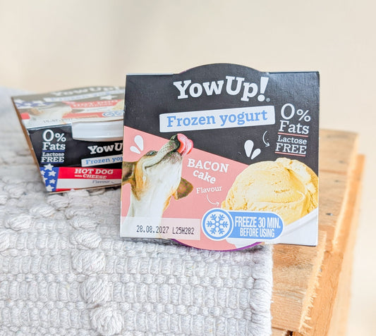 YowUp! Frozen Yogurt Treat