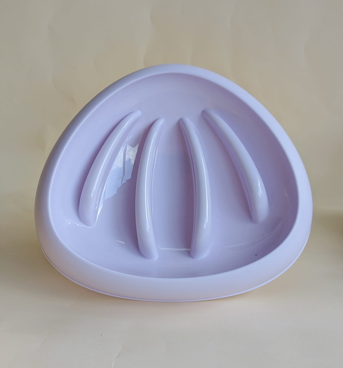 Seashell Slow Feeder