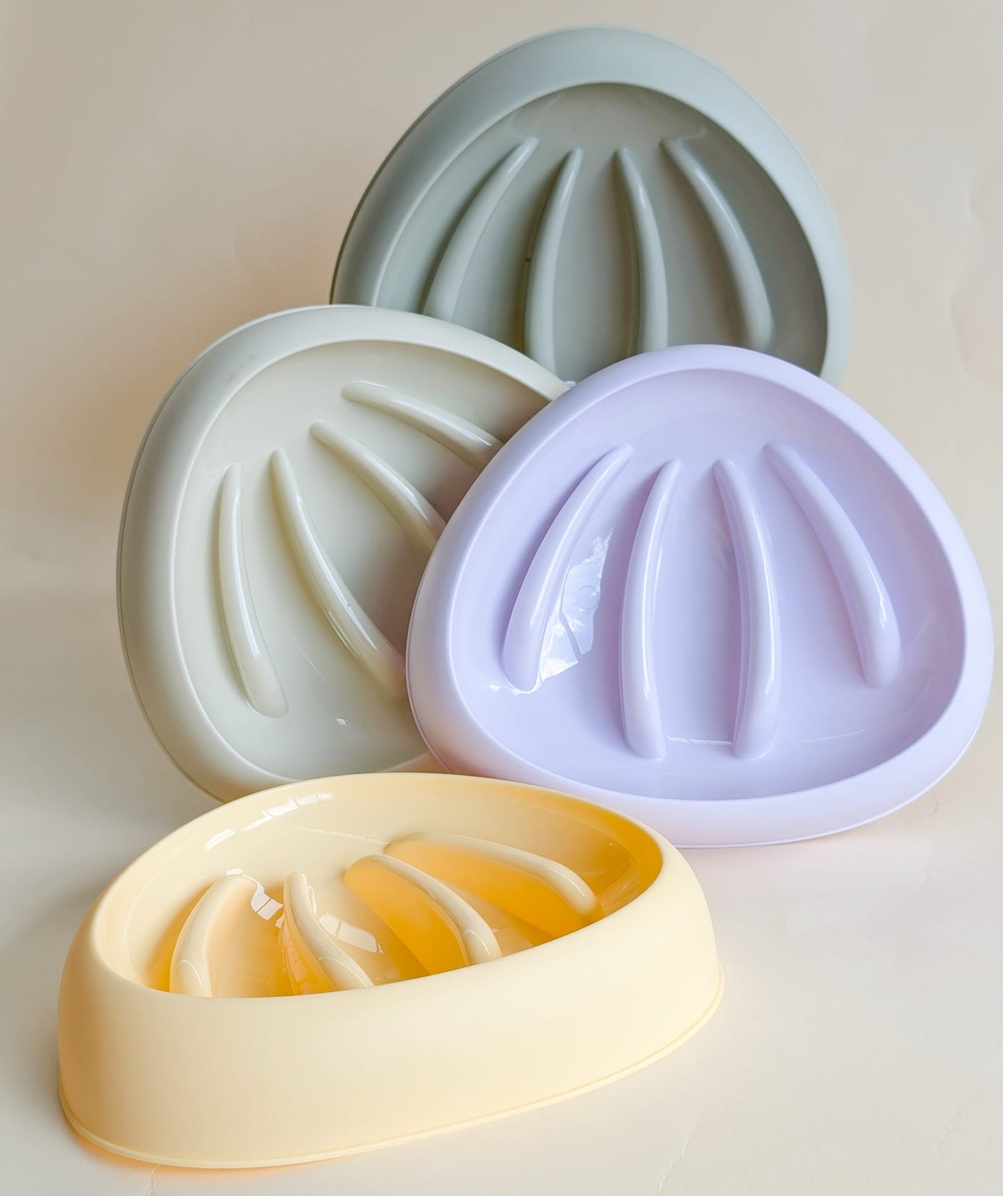 Seashell Slow Feeder