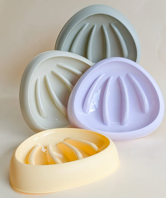 Seashell Slow Feeder