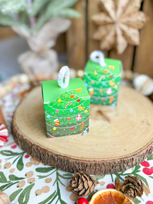 Mini Green Christmas Tree Gift Box | 2 Varieties