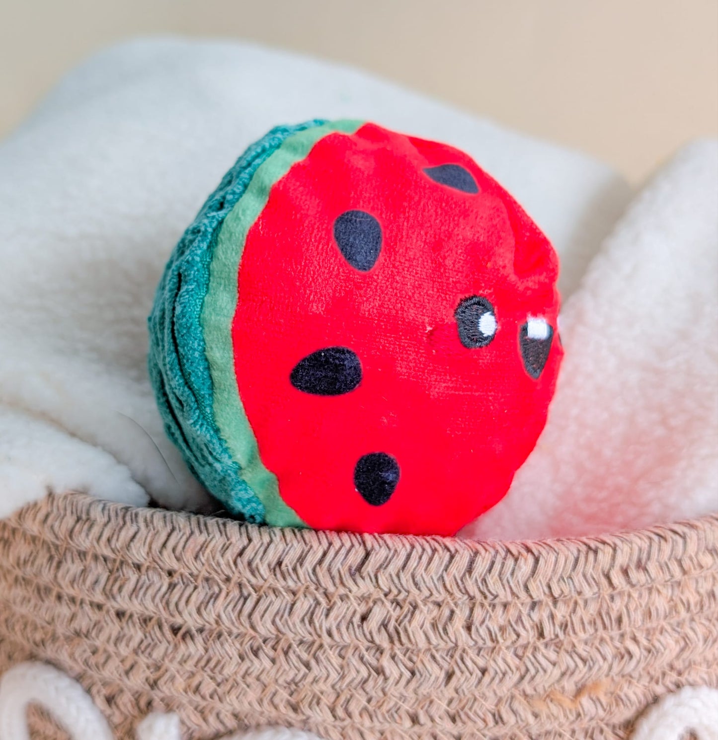 Hugsmart Summer Fruit Ball Toys