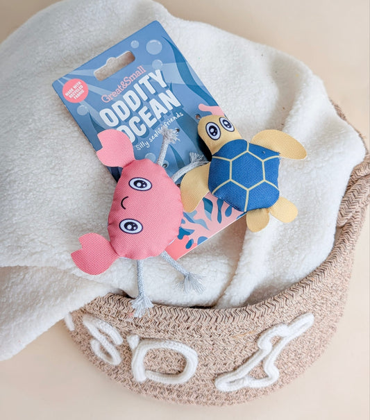 🐈‍⬛ Great&Small Oddity Ocean Turtle & Crab