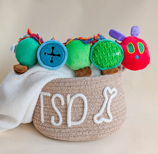 The Very Hungry Caterpillar | Treat Toy
