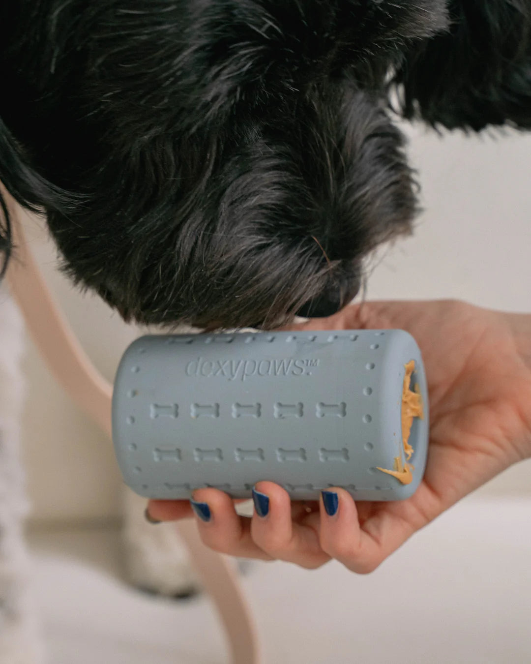 Durable Chew Toy & Treat Dispenser | 2 Colours