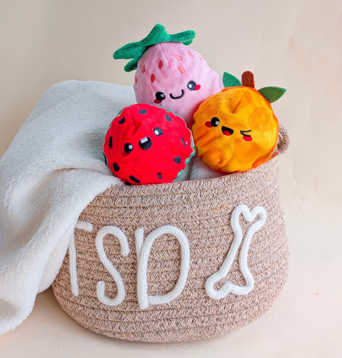 Hugsmart Summer Fruit Ball Toys