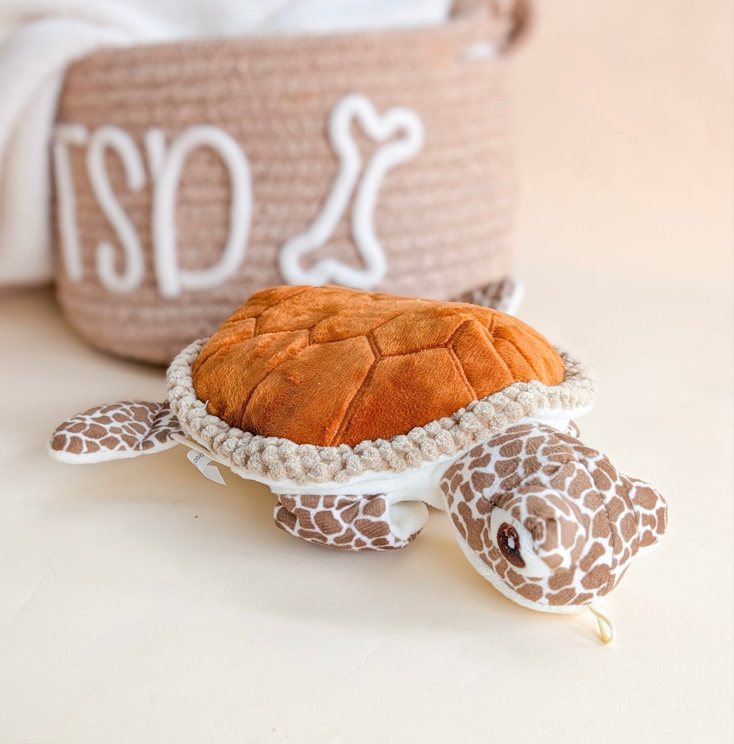 Tall Tails | Animated Sea Turtle