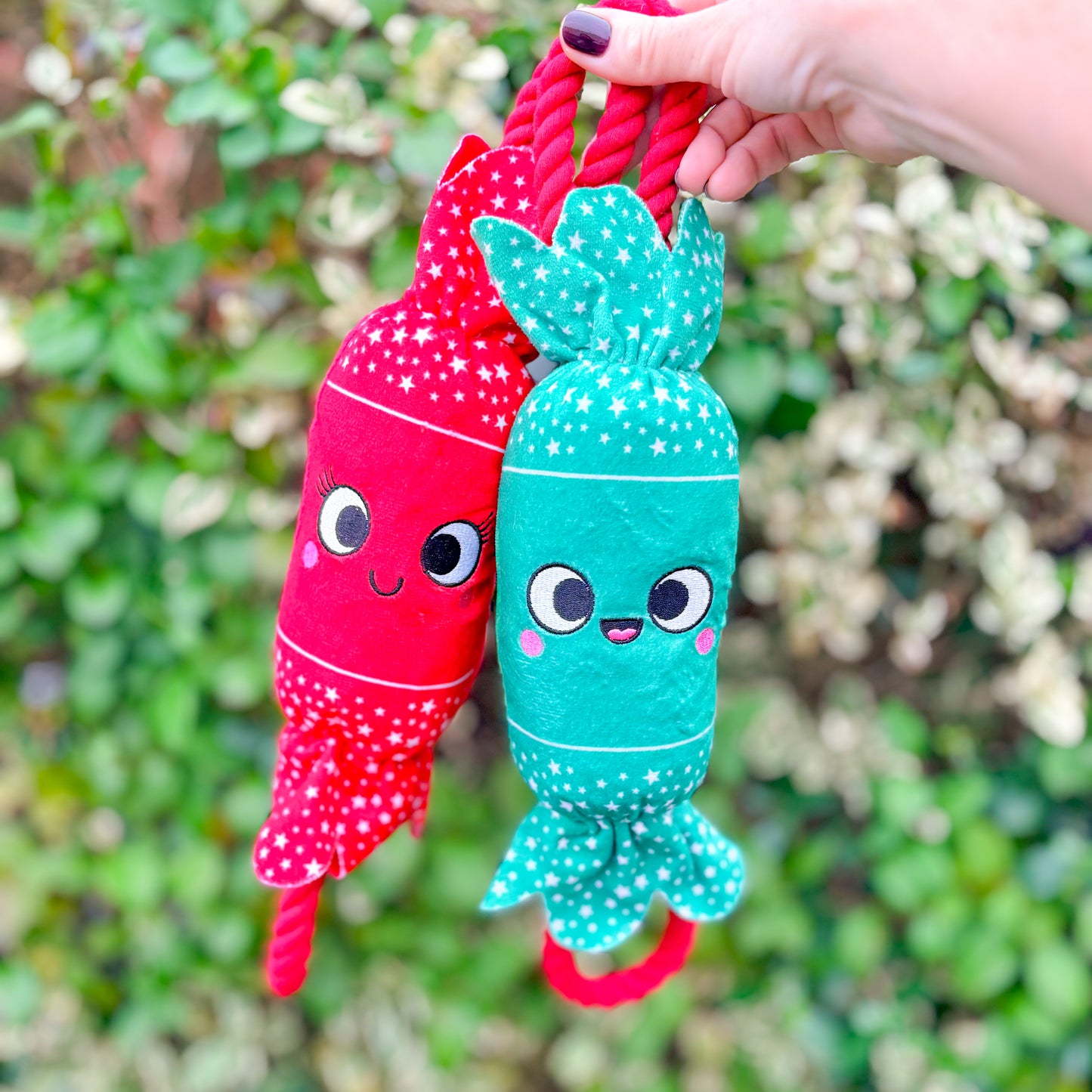 Colin & Chloe Crackers | Christmas Plush & Rope Dog Toy