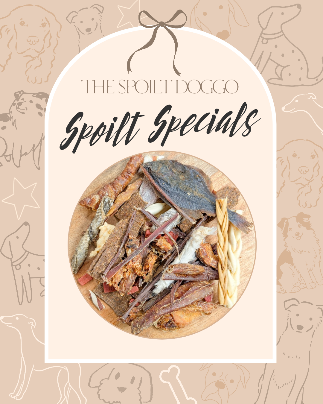 🐾✨ SPOILT SPECIALS ✨🐾