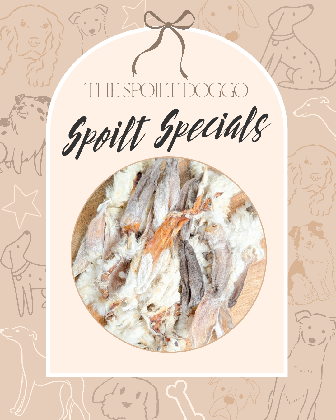 🐾✨ SPOILT SPECIALS ✨🐾