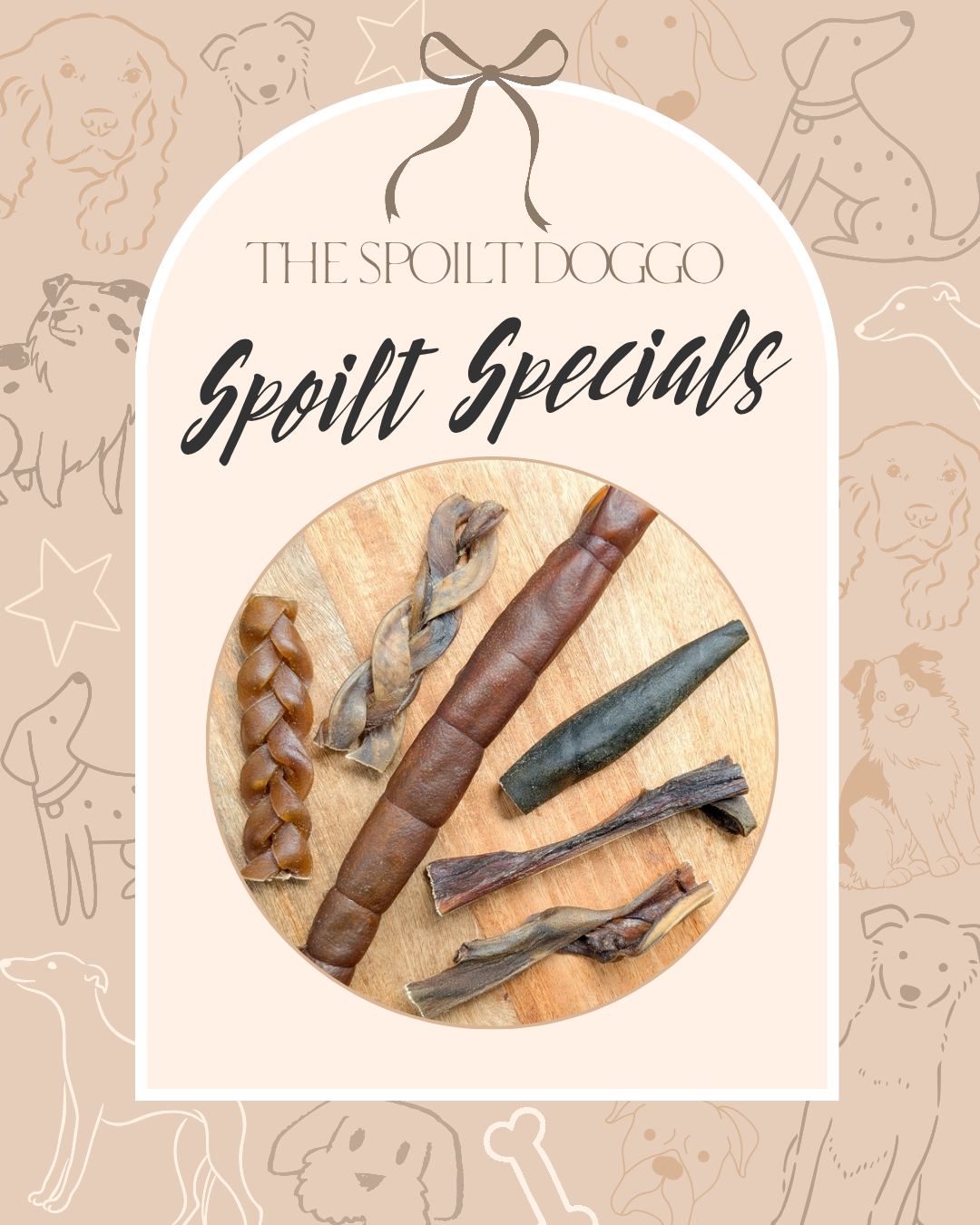 🐾✨ SPOILT SPECIALS ✨🐾