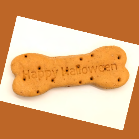 Happy Halloween Bone Biscuit