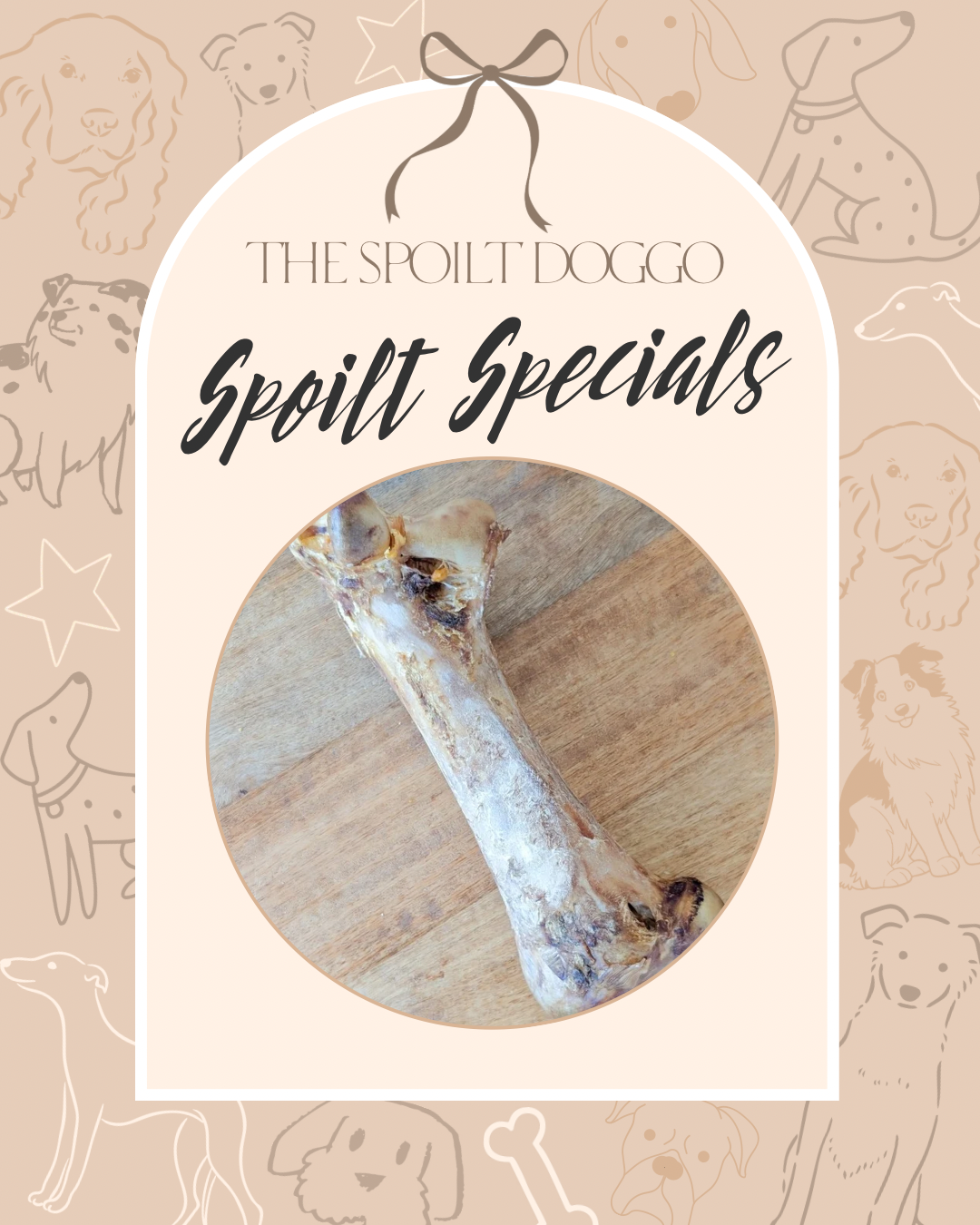 ✨ SPOILT SPECIALS ✨