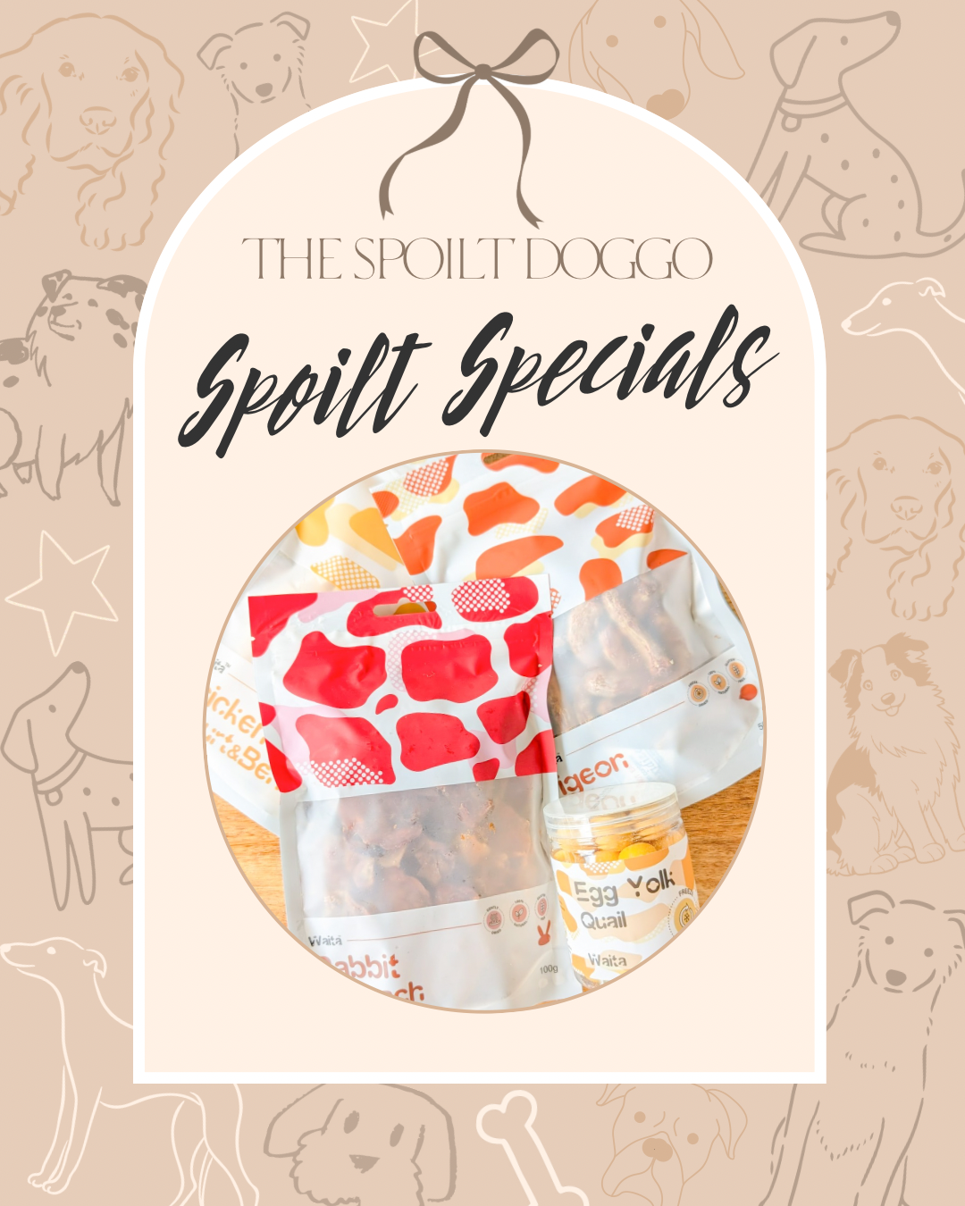 ✨ SPOILT SPECIALS ✨