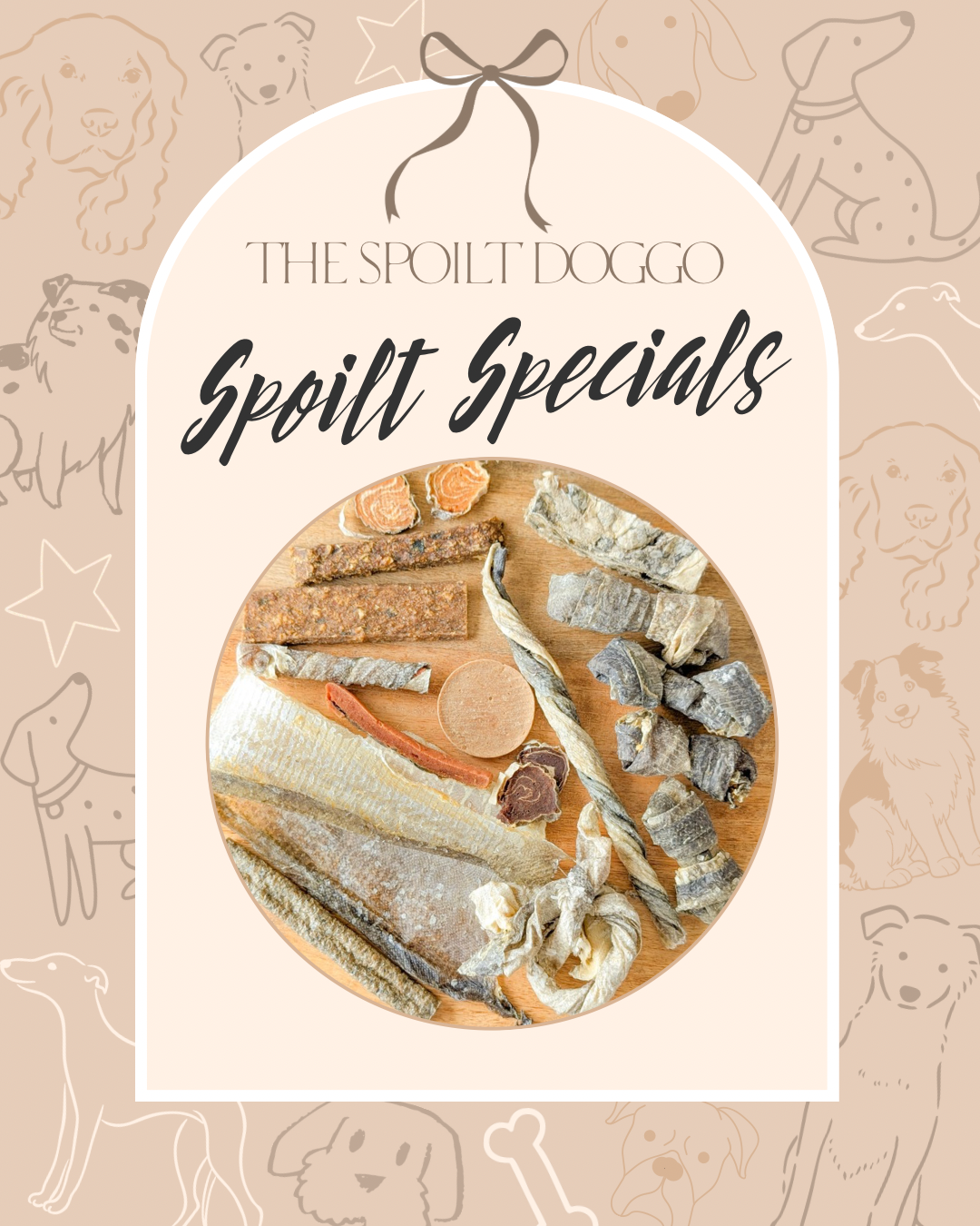 ✨ SPOILT SPECIALS ✨