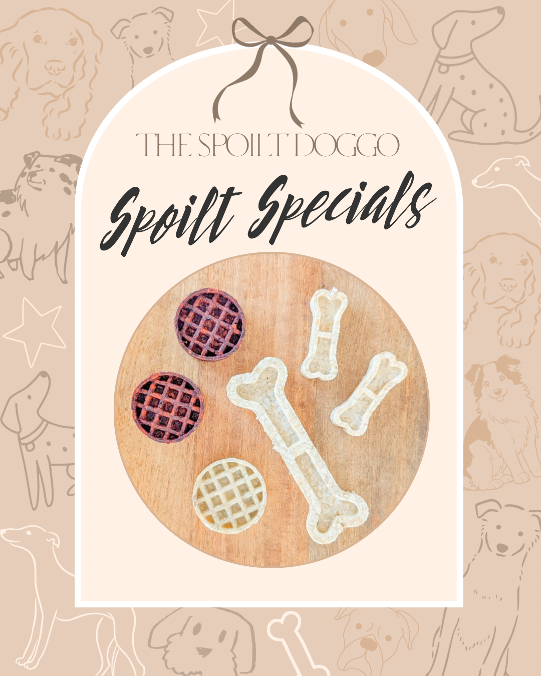 ✨ SPOILT SPECIALS ✨