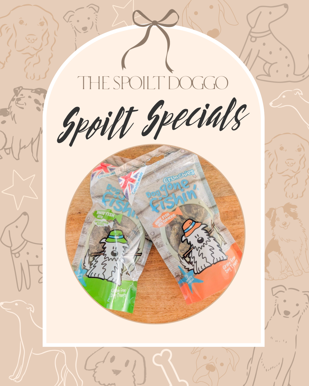 ✨ SPOILT SPECIALS ✨