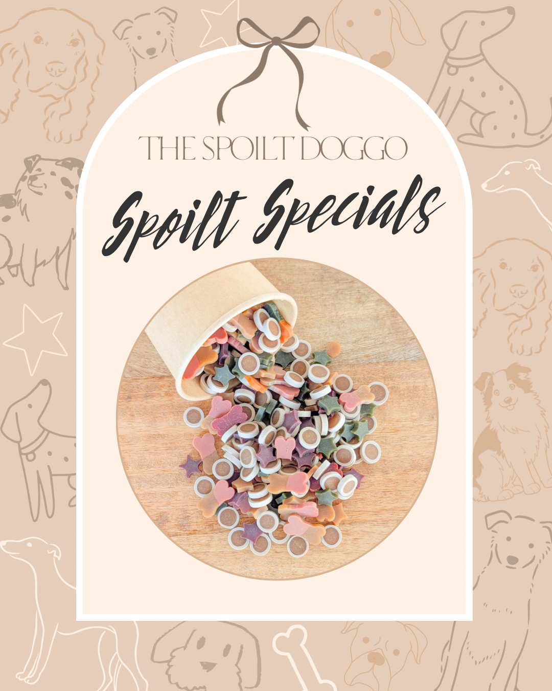 ✨ SPOILT SPECIALS ✨