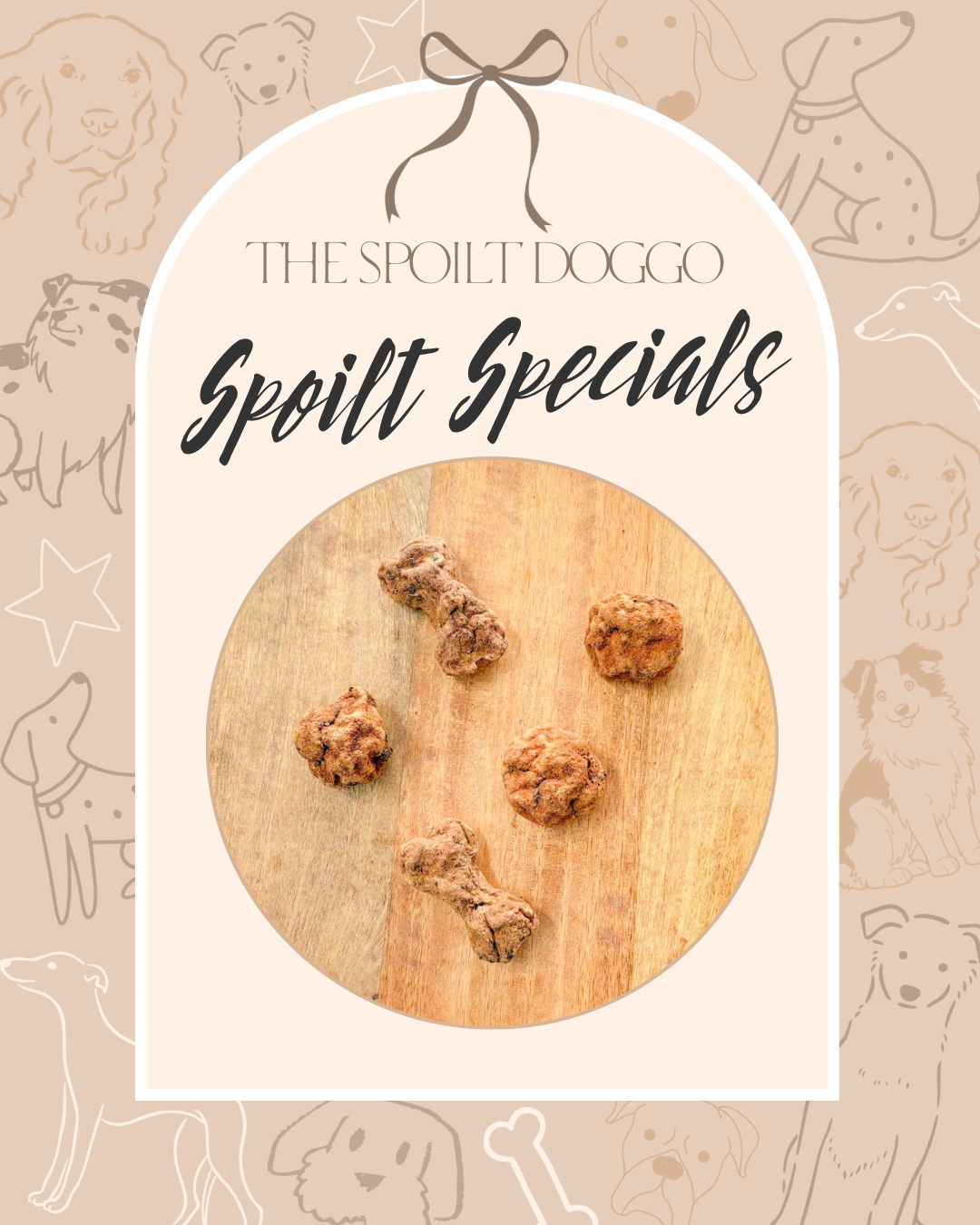 ✨ SPOILT SPECIALS ✨