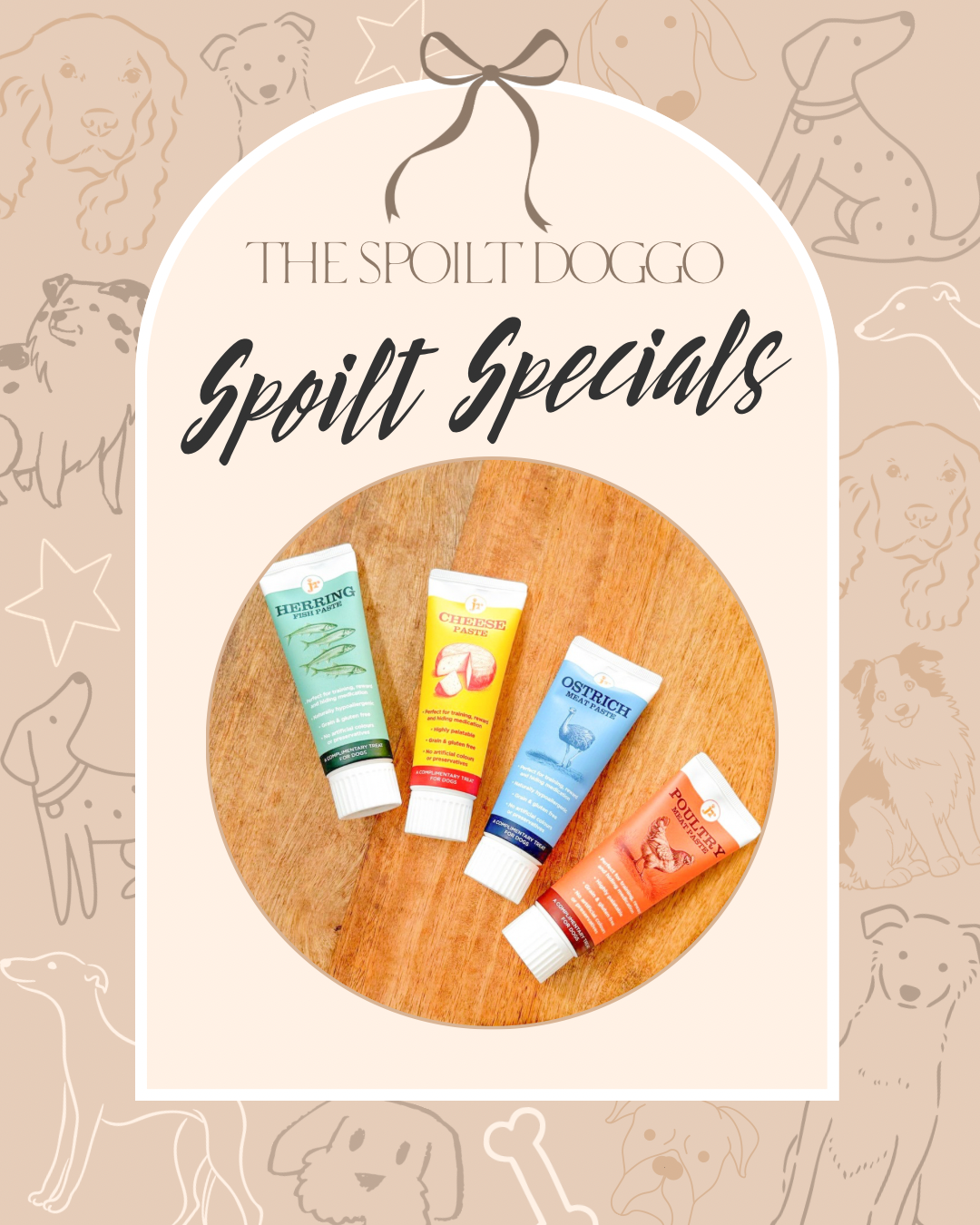 ✨ SPOILT SPECIALS ✨