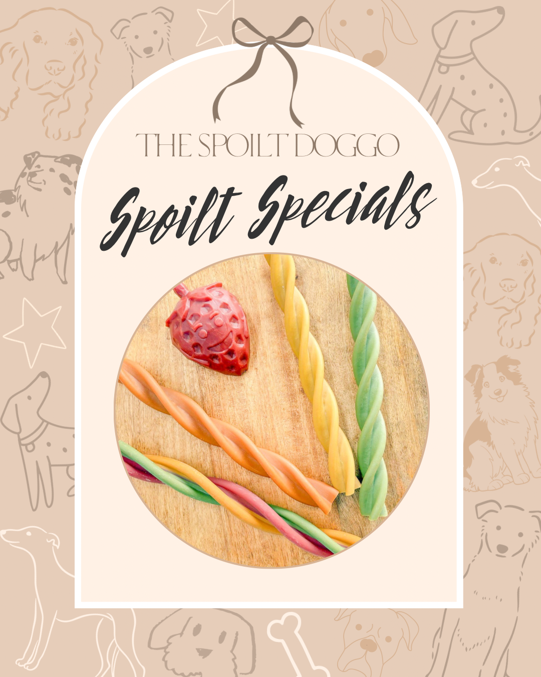✨ SPOILT SPECIALS ✨