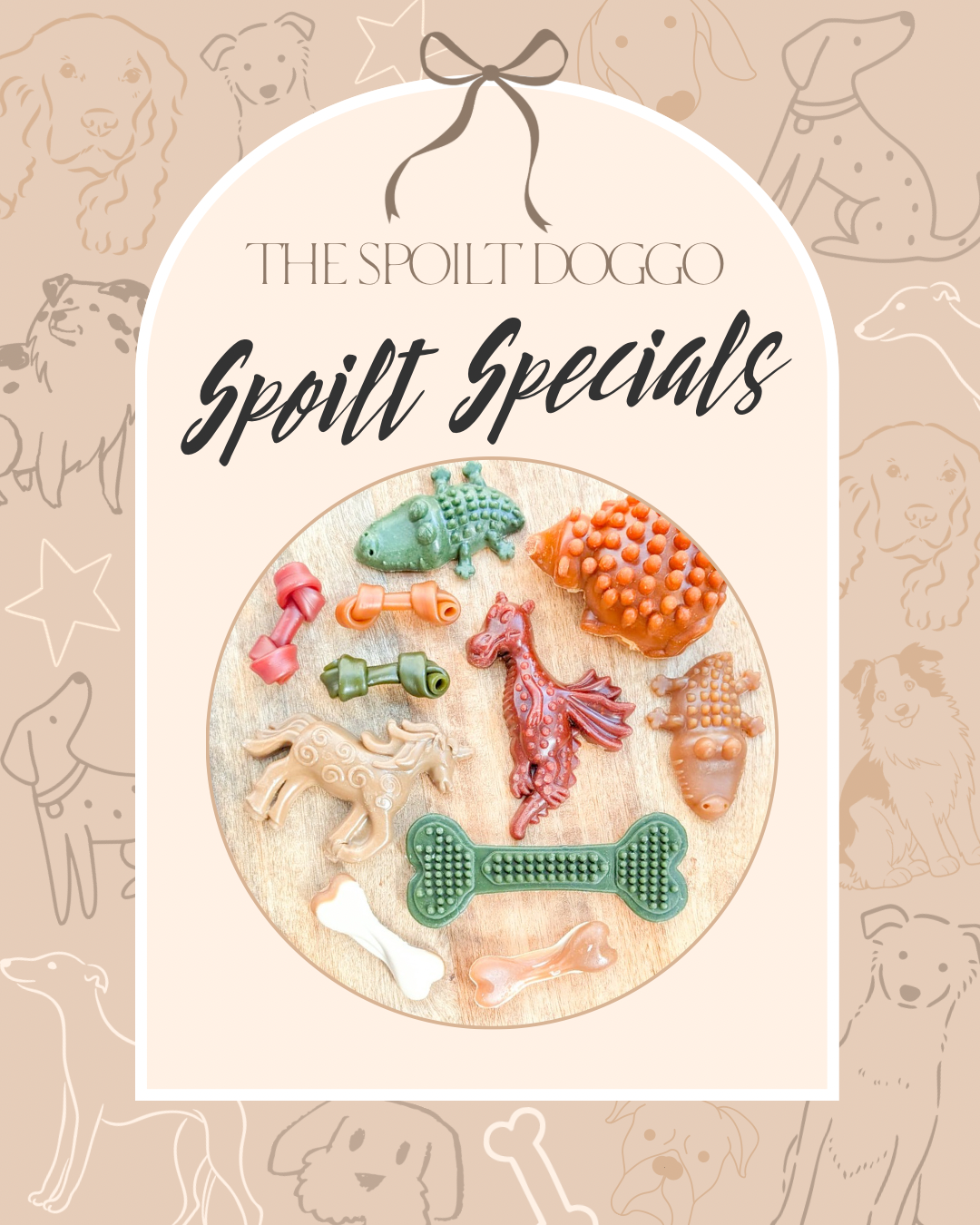 ✨ SPOILT SPECIALS ✨