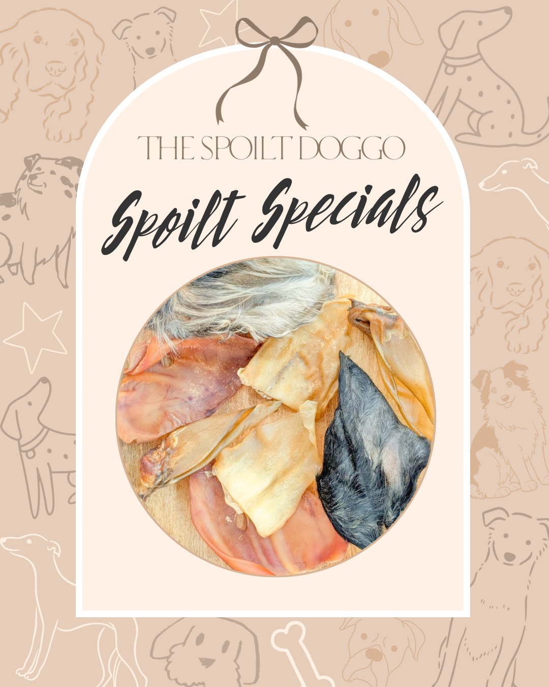 ✨ SPOILT SPECIALS ✨