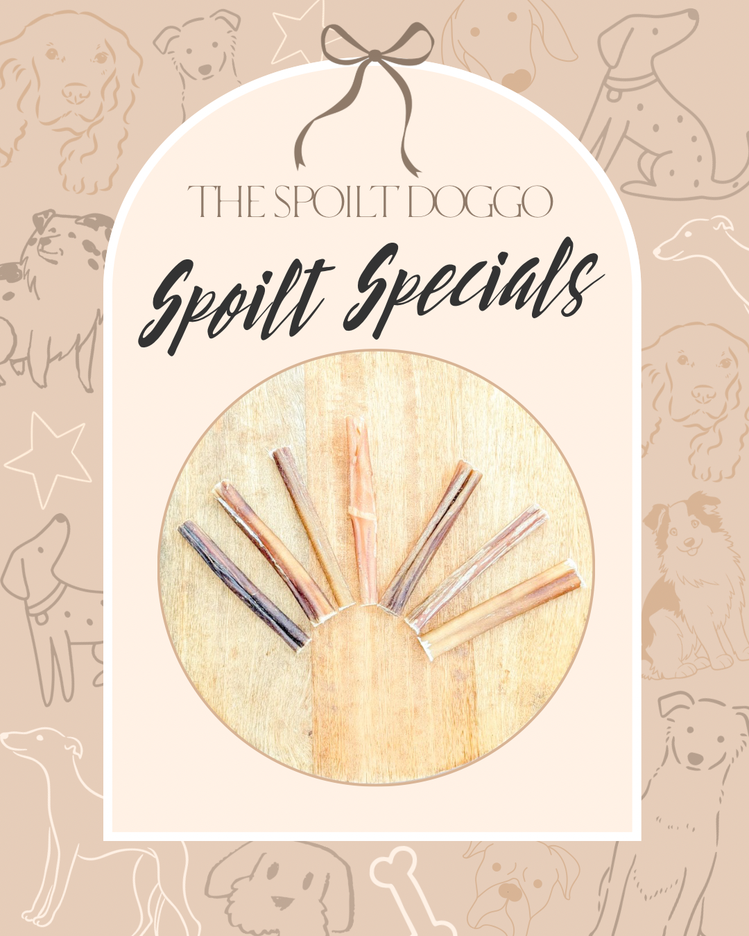 ✨ SPOILT SPECIALS ✨