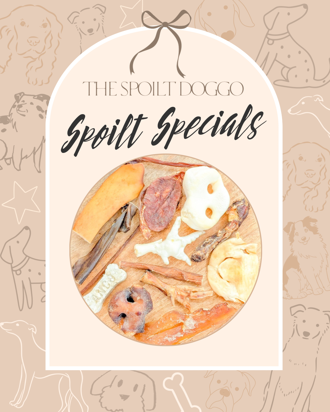 ✨ SPOILT SPECIALS ✨