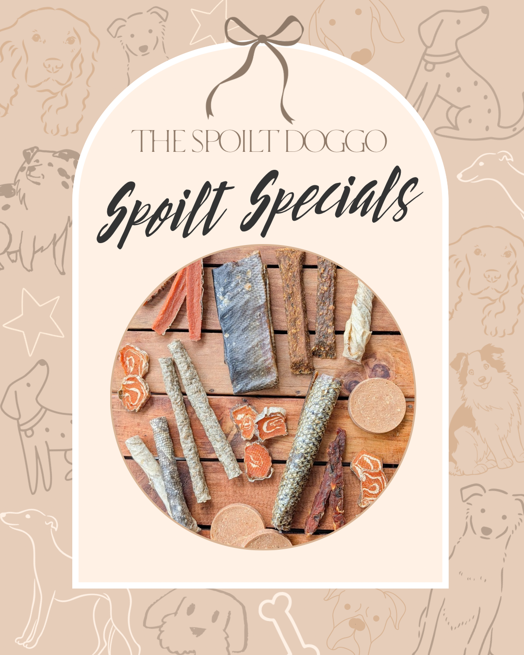 ✨ SPOILT SPECIALS ✨