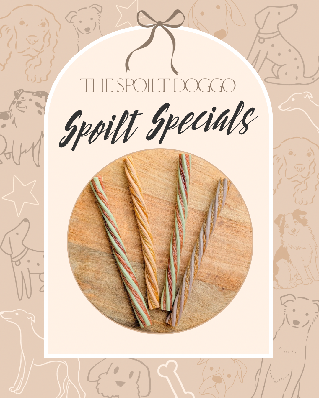 🐾✨ SPOILT SPECIALS ✨🐾